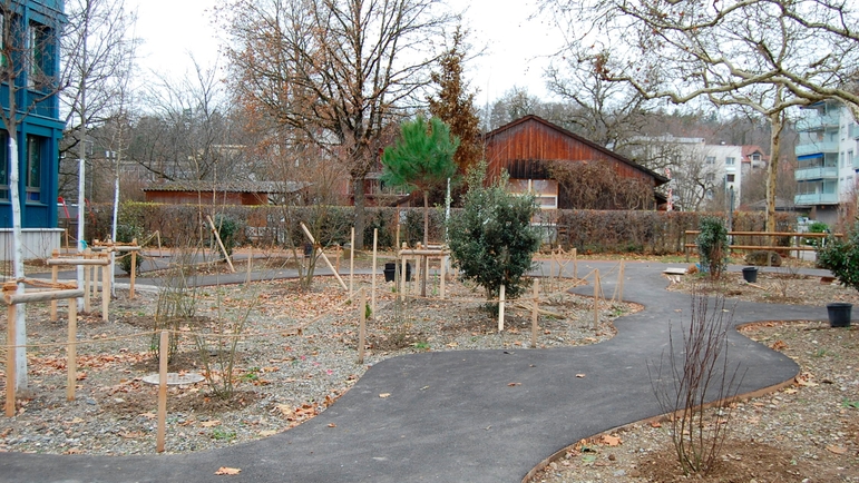 Sponge city area at a schoolyard in Schaffhausen