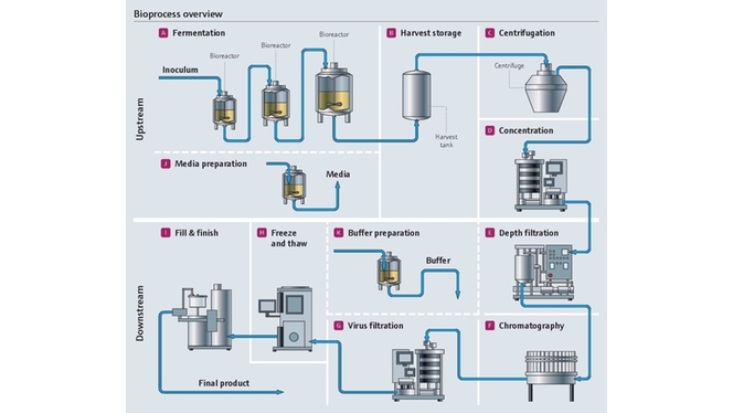Bioproces in de farmaceutische industrie
