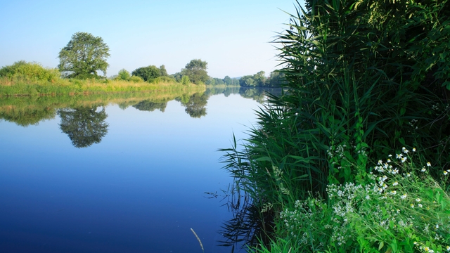 Protect ecosystems and natural water resources like rivers and lakes.