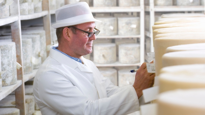 Arbeider in de zuivelfabriek die de kaas inspecteert