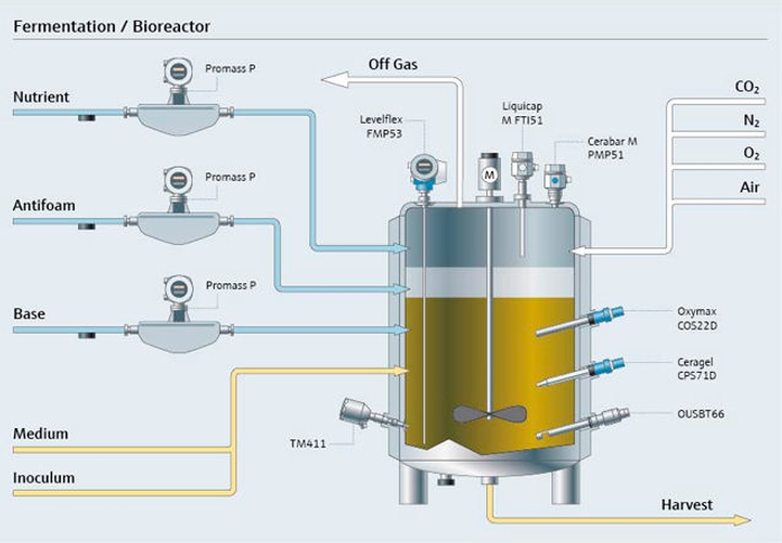 Fermentatieproces