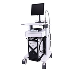 Productafbeelding Raman Rxn2 op wagenaccessoire