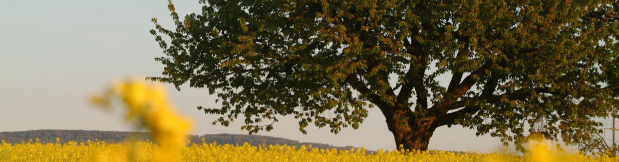 Voor ons gaat economische groei hand in hand met ecologisch en sociaal denken.