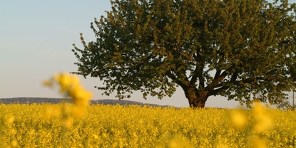 Voor ons gaat economische groei hand in hand met ecologisch en sociaal denken