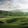 Windmolens in groene weiden