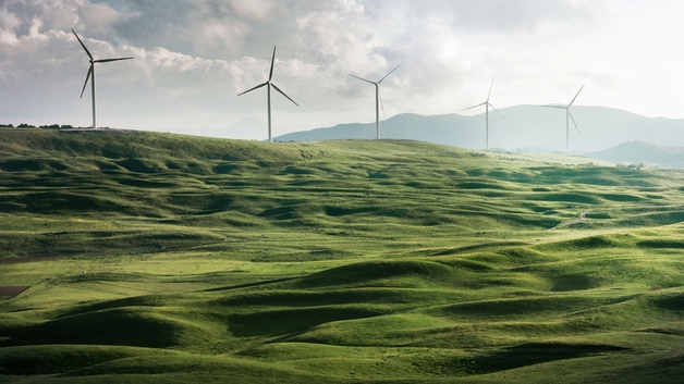 Windmolens in groene weiden