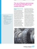 Raman composition analysis of gas turbine fuel feeds