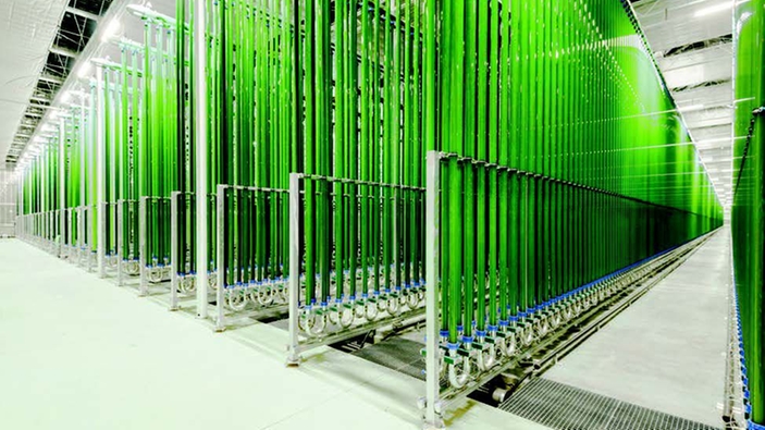Industriële algenteelt in fotobioreactoren